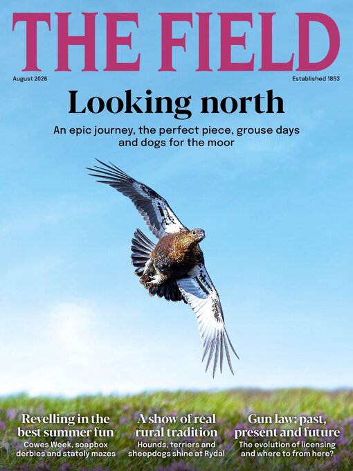 Cover image for The Field